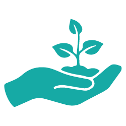 hand holding a plant icon - get-out-of-debt success stories - prudent financial solutions testimonials